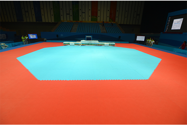 跆拳道训练场地（八角）