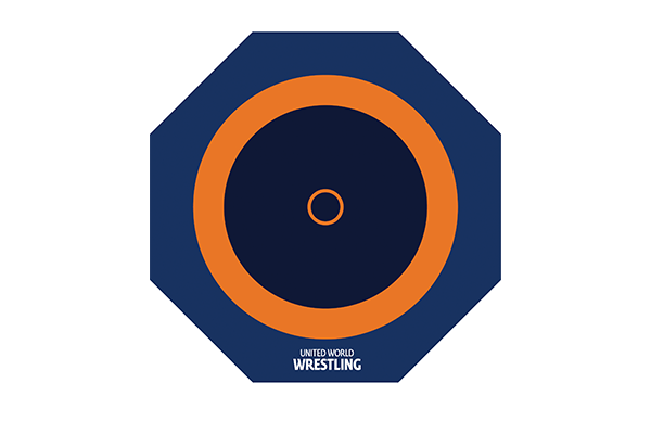 摔跤场地(比赛型 八角形)